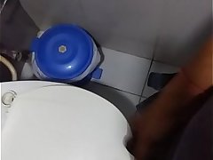 Horny toilet fun